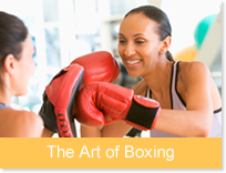 The Art of Boxing